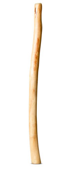 Medium Size Natural Finish Didgeridoo (TW1589)